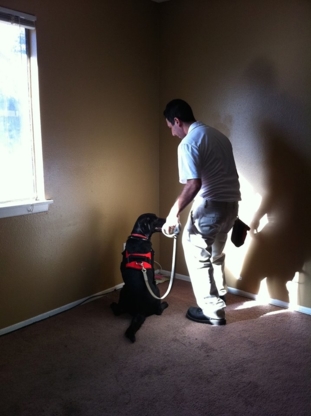 K9 Inspectors - Pest Control Services