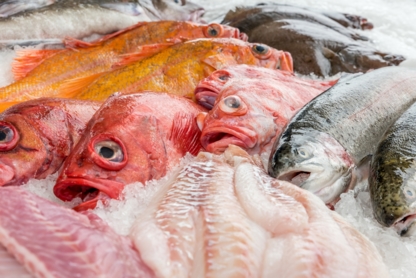 Lions Gate Fisheries Ltd - Fish & Seafood Wholesalers