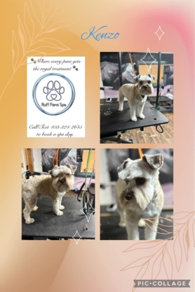 Ruff Paws Spa - Pet Grooming, Clipping & Washing