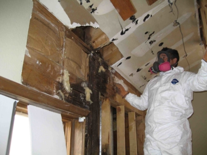 GTA Mold Removal Mississauga - Rénovations