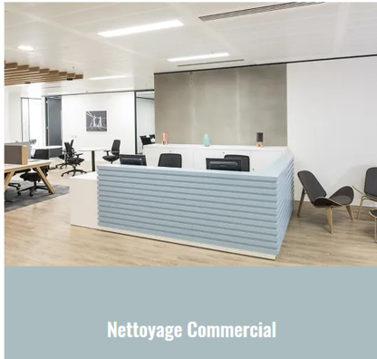 Le Fou du Nettoyage - Commercial, Industrial & Residential Cleaning