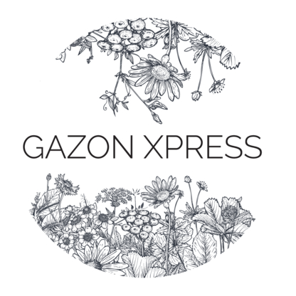 Gazon Xpress - Entretien de gazon