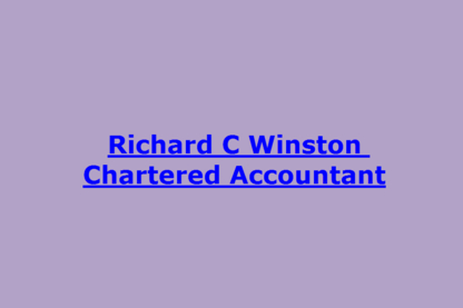 Richard Winston Professional Corp - Chartered Professional Accountants (CPA)