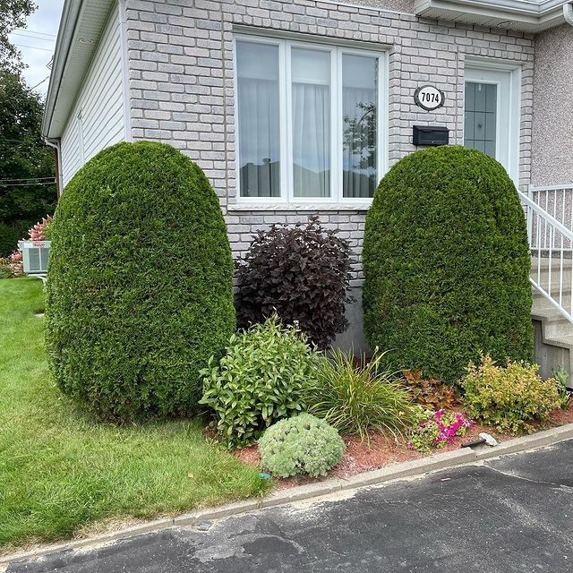 Gazon Plus - Tonte et Entretien Paysager - Lawn Maintenance