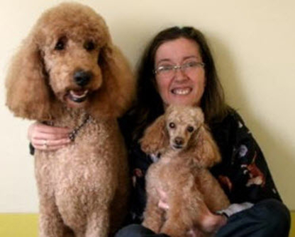 Suds 'N' Scissors Pet Salon - Services pour animaux de compagnie