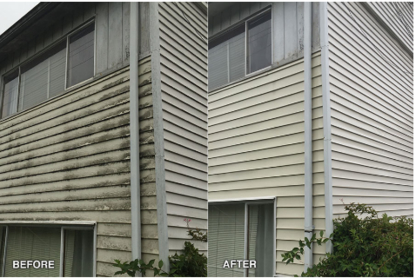 Spartan Pressure and Softwashing - Eavestroughing & Gutters