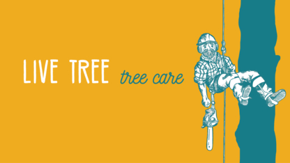 Live Tree Tree Care - Tree Service