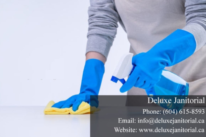 Deluxe Janitorial - Home Cleaning