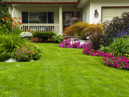 Bergman Landscaping - Tondeuses à gazon