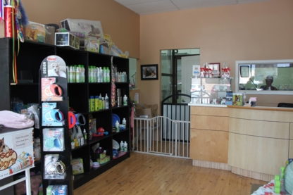 Designer Dogs Pet Spa Inc. - Toilettage et tonte d'animaux domestiques