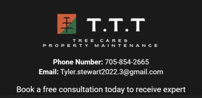 T.T.T Tree Care Property Maintenance - Tree Service