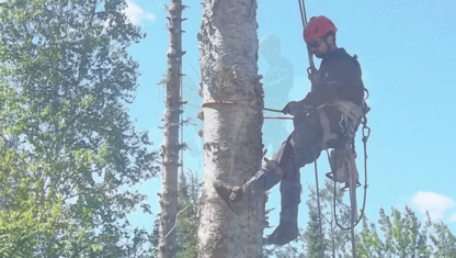 Servi'Arbre - Service d'entretien d'arbres