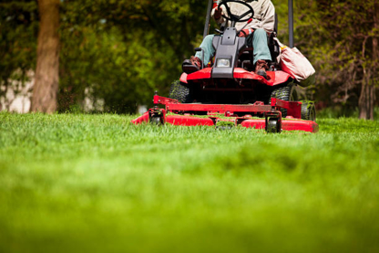 Landscape Newmarket - Paysagistes et aménagement extérieur