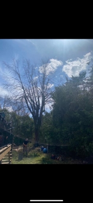 Services D'arbres G.F. - Service d'entretien d'arbres