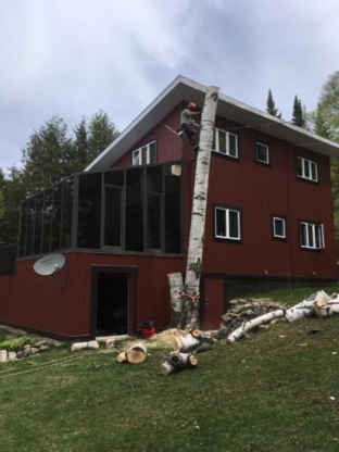 Arbos-Marquis - Tree Service