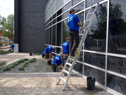 Insight Service Solutions - Window Cleaning Service
