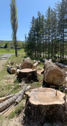 Nicholson Utility Services - Tree Service