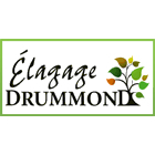 Élagage Drummond - Tree Service