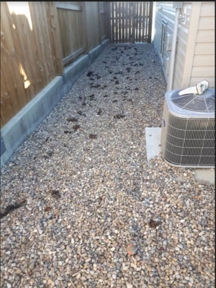 Poo Patrol - Pet Care Services