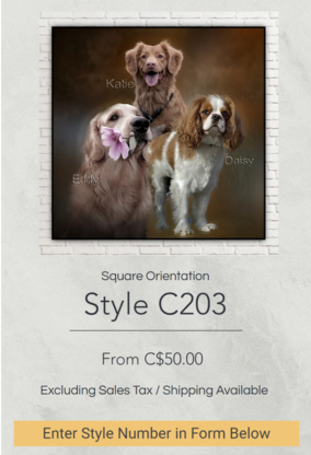 MOC Canvas & Design Photo Mounting & Editing Service - Photo Printing & Finishing