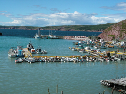 Salty Seas Cottages - Tourist Accommodations
