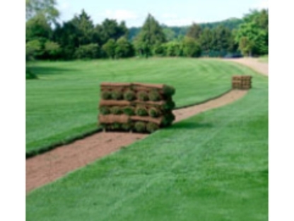 Southridge Sod Supply Inc - Sod & Sodding Service