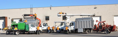 View The Tree Specialists Inc’s Streetsville profile