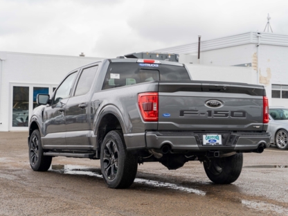 Okotoks Ford Lincoln - Electric Vehicles