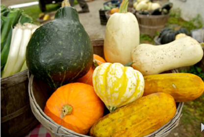 Ferme Wera Enr - Magasins de fruits et légumes