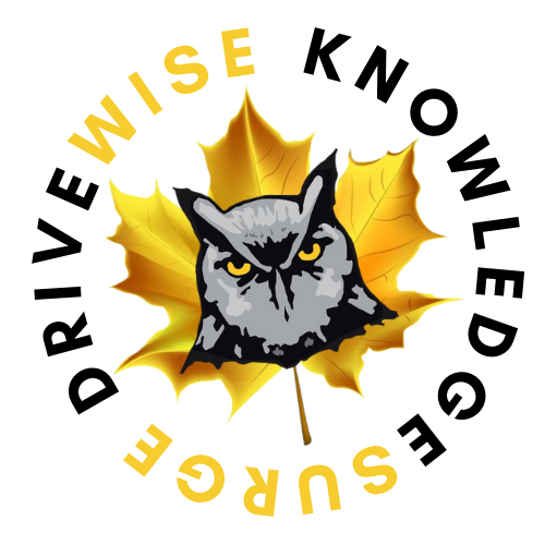 DriveWise - Driving Instruction