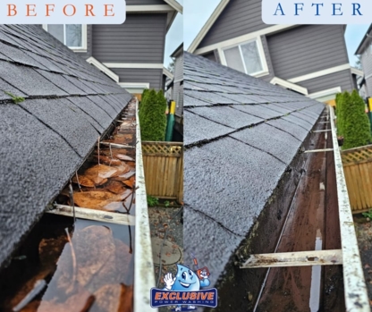 Exclusive Services Group Inc - Nettoyage extérieur de maisons