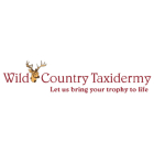 Wild Country taxidermy