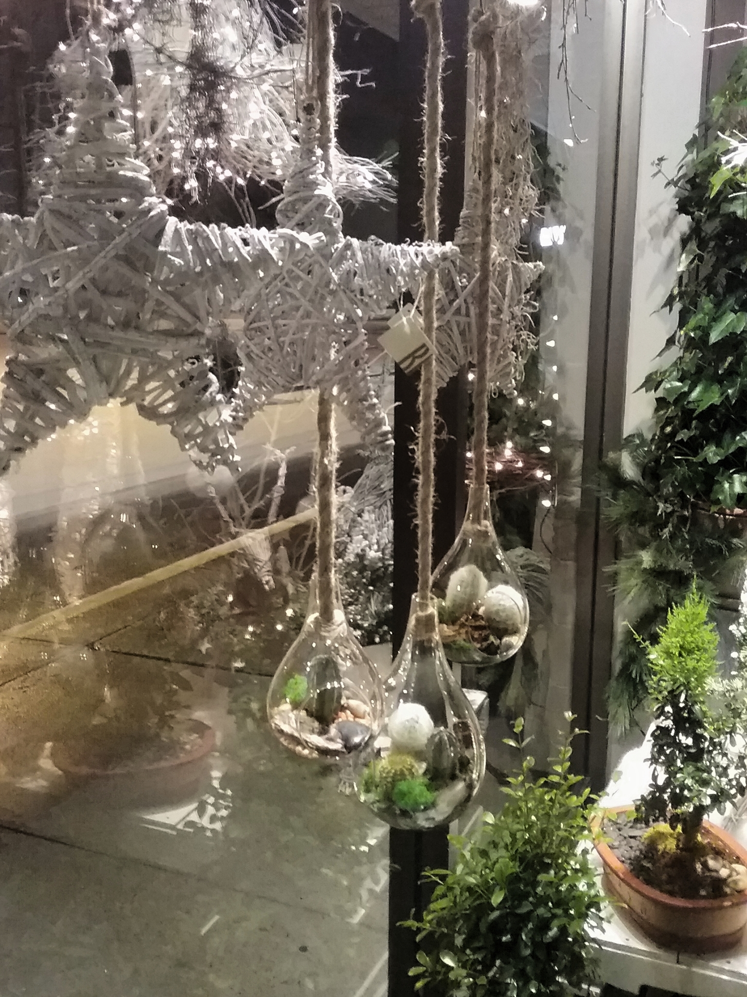 Fleuriste Fleurs de Cactus Opening Hours 317, boul SirWilfrid