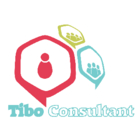 Tibo Consultant Inc. - Business Management Consultants