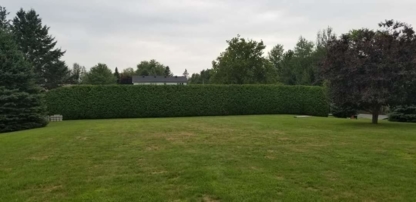 Arbor-All Tree Services - Tree Service