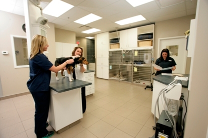 Mountainview Animal Hospital - Veterinarians