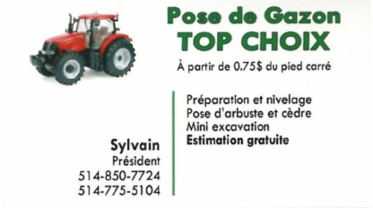 Pose de gazon Top Choix Inc - Lawn Maintenance