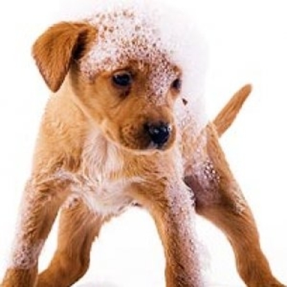 Naturapets - Animaleries