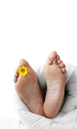 Podologists in Clova QC YellowPages.ca ™
