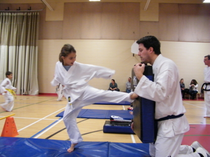 Club de Taekwondo Patrick Larochelle - Écoles et cours d'arts martiaux et d'autodéfense