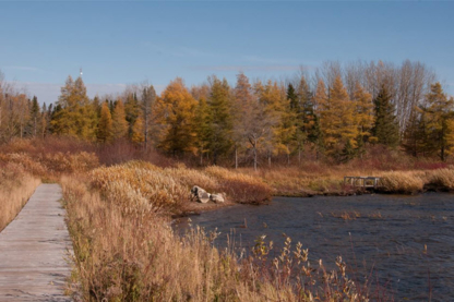 CBHSSJB Cree Board of Health and Social Services of James Bay - Hospitals & Medical Centres
