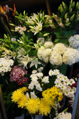 Fleuriste Hollandia - Florists & Flower Shops