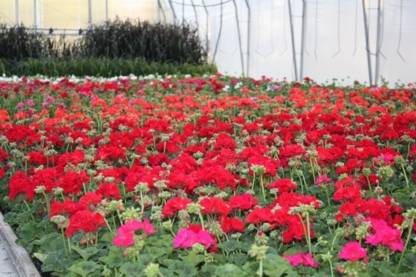 Hilltop Greenhouses - Centres du jardin