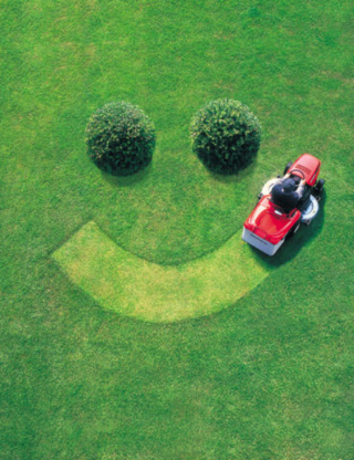 LMD Grasscutting - Lawn Maintenance