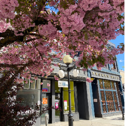 Hall Printing - Copying & Duplicating Service