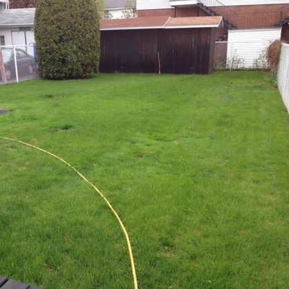 Qualité Pelouse - Lawn Maintenance