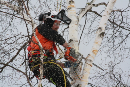 Élagage SL Plus - Service d'entretien d'arbres