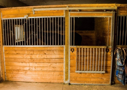 Maximum Equestrian - Salles d'entraînement
