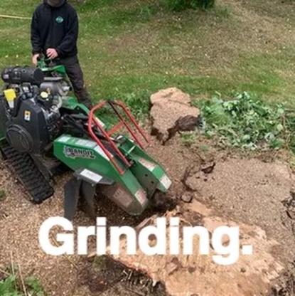Vision Arboriculture Ltd. - Tree Service