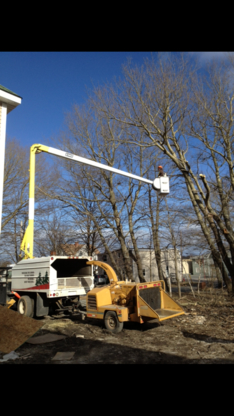 Kiss Construction & Tree Removal Services - Delivery Service